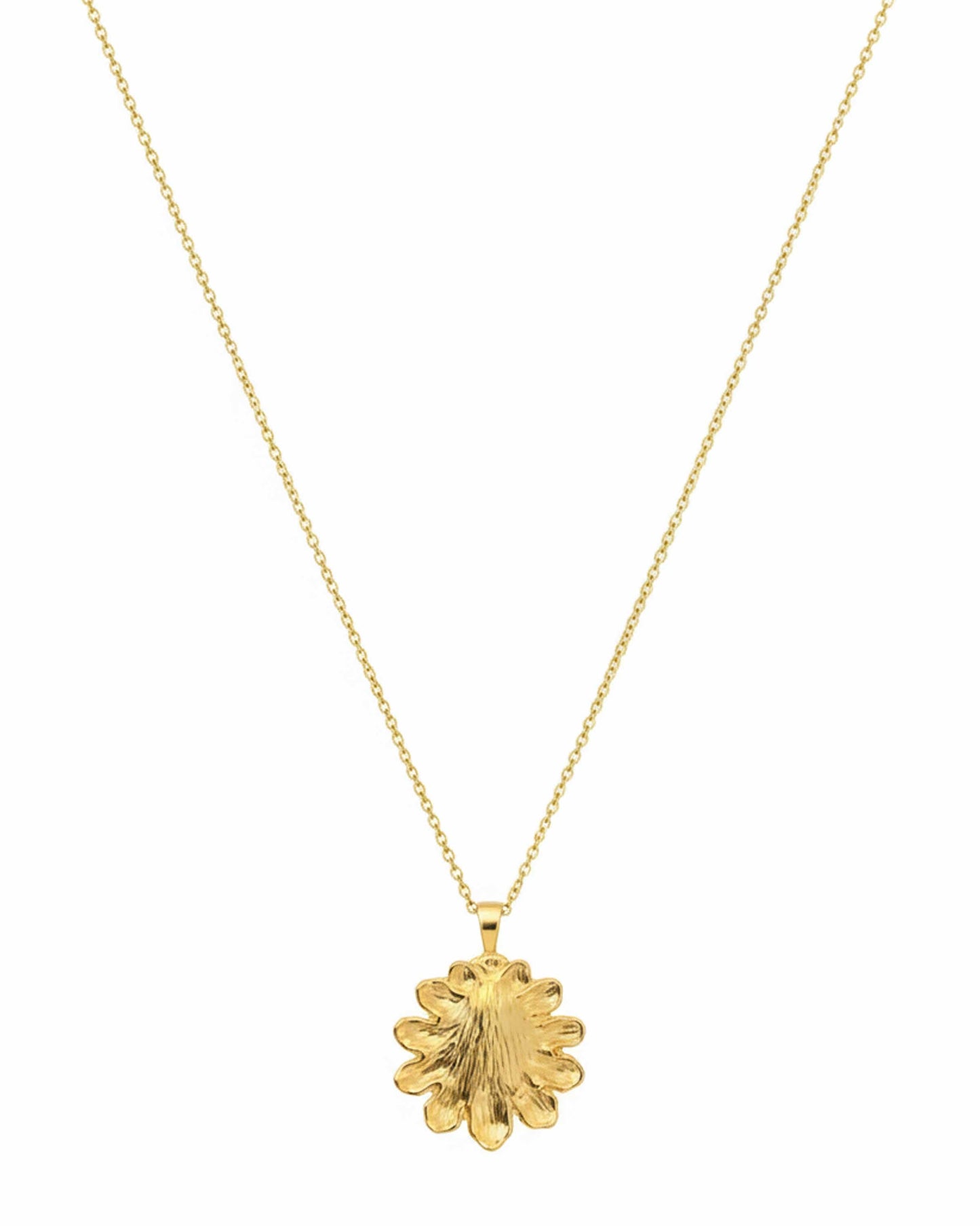 Sol Shell Necklace