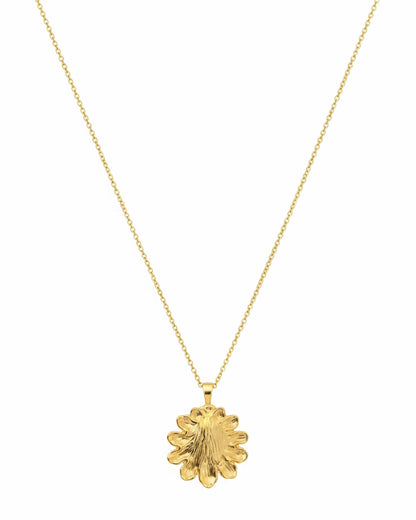 Sol Shell Necklace