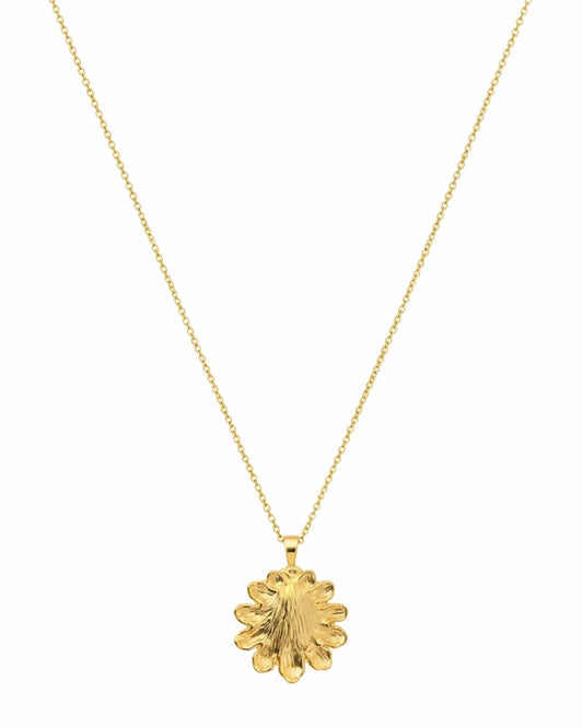 Sol Shell Necklace