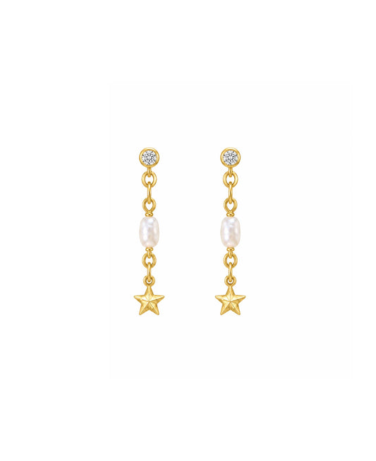 Northe star earrings