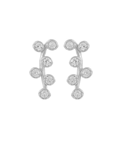 Amber earrings